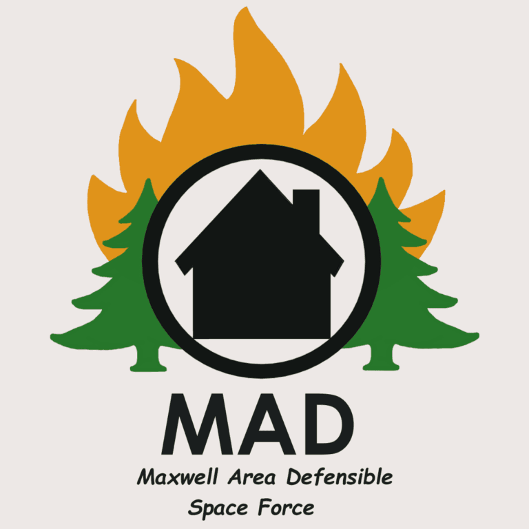 mad space force logo